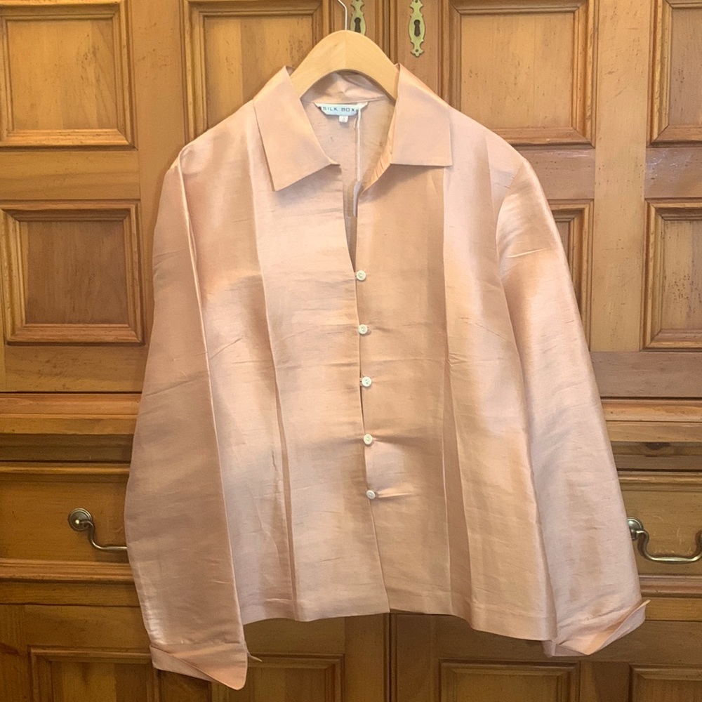 Pale Blush Silk Button-Front Blouse